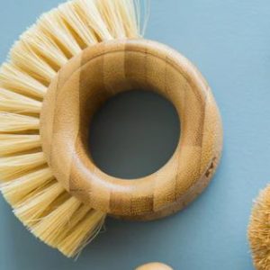 Scrub Ring Brush